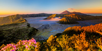Mount Bromo East Java Indonesia
